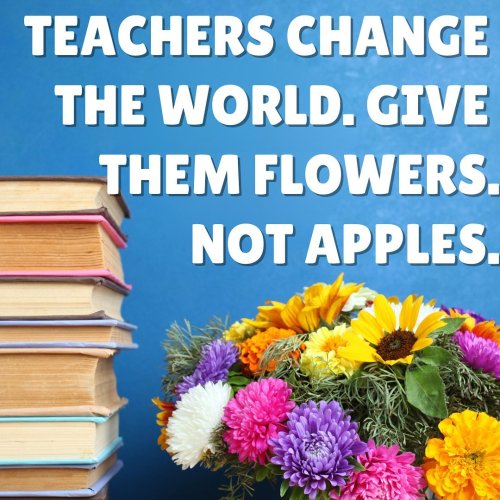 Photo post from piccolosflowers.