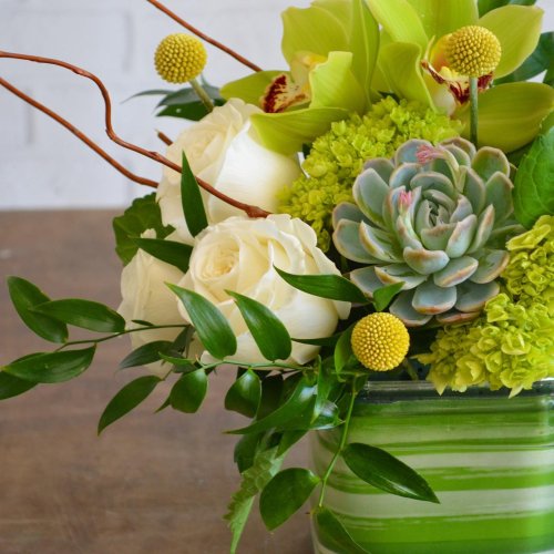 Photo post from piccolosflowers.