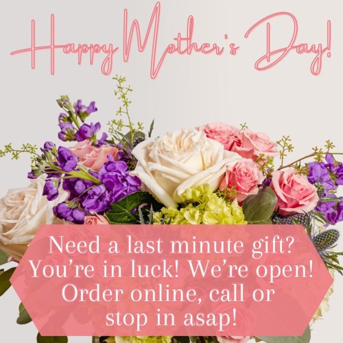 Photo post from piccolosflowers.